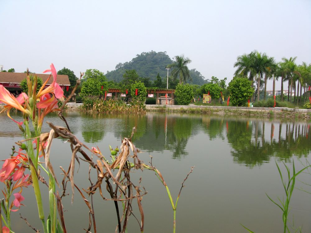 IMG_4455.jpg