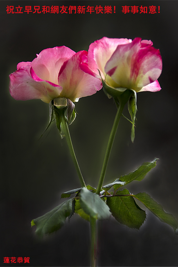 IMG_6094-2-2.jpg