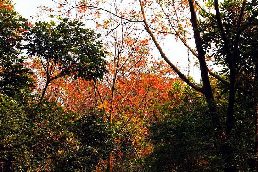 _MG_58032013-10-20.JPG