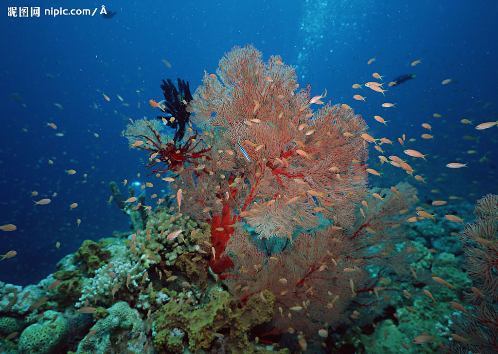 2008101685338437_2[1].jpg
