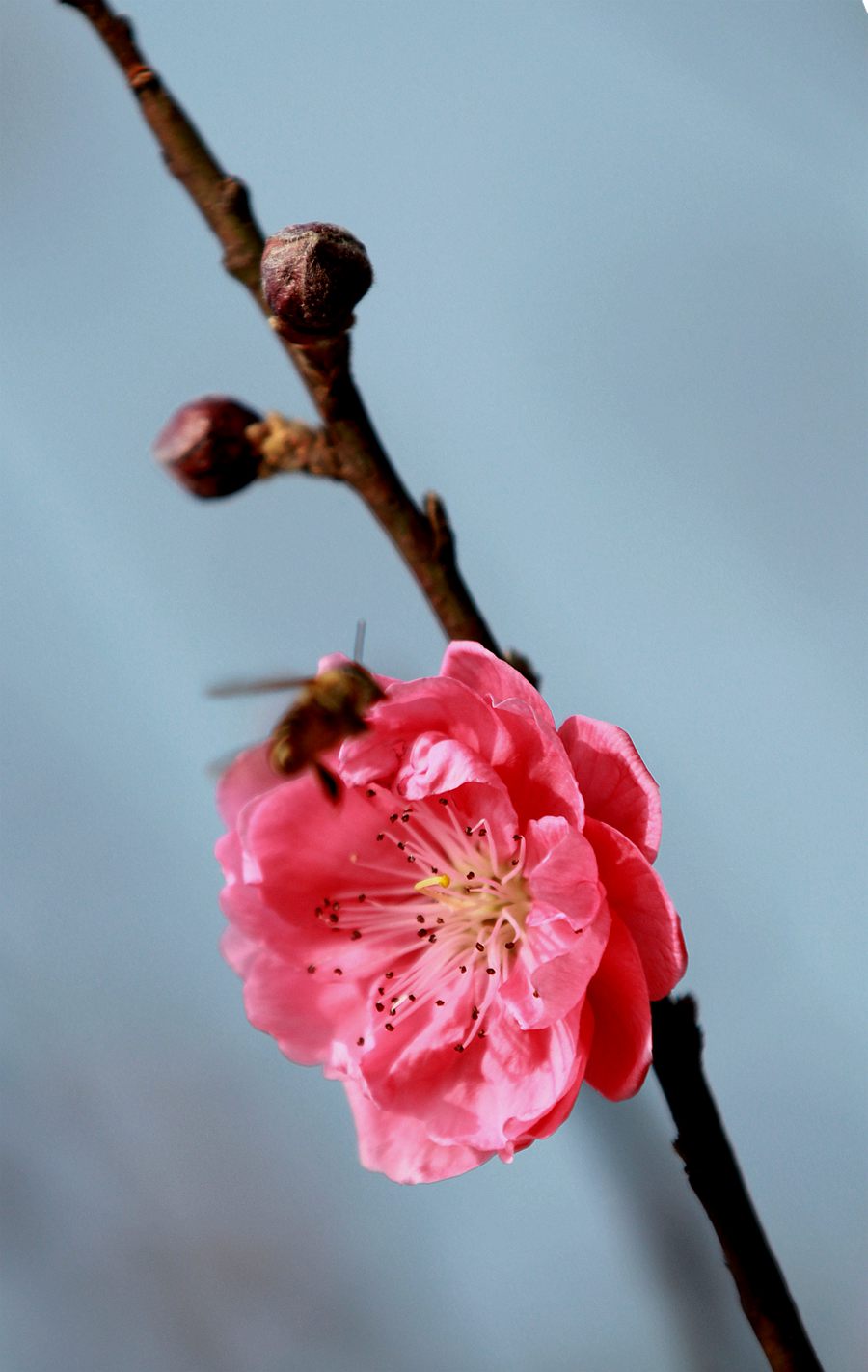 IMG_7791.JPG