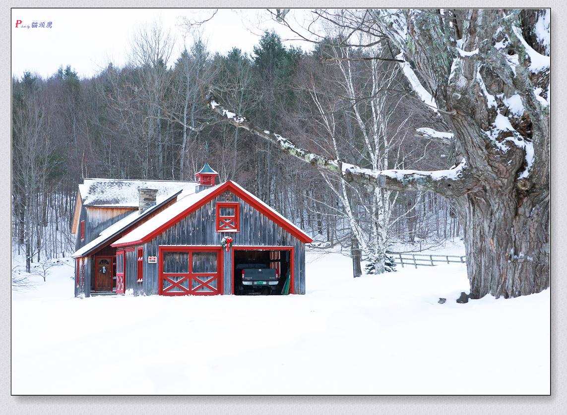 �}�u -����ѩ��-2 380-4.jpg