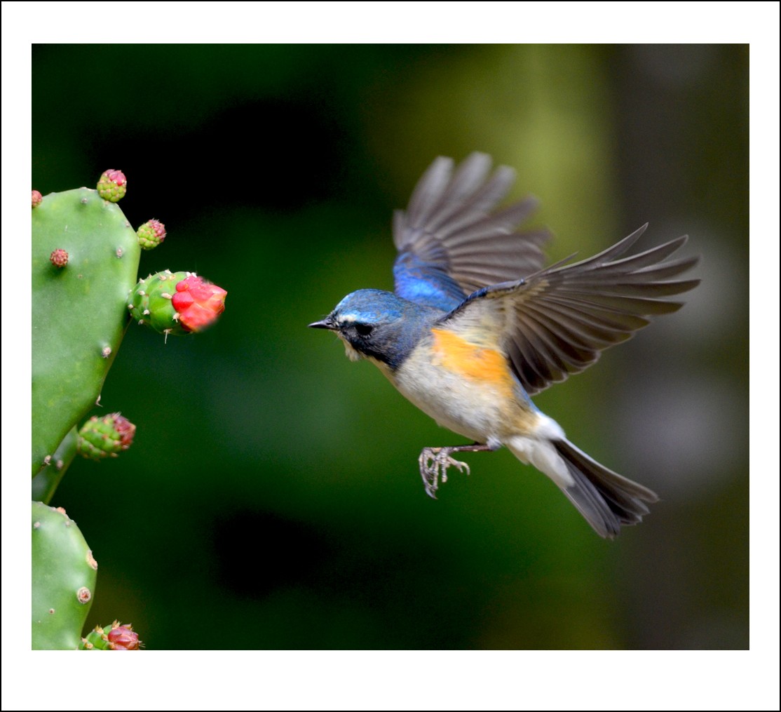 DSC_4995_conew1.jpg