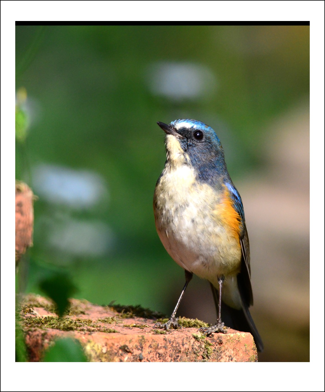 DSC_4536_conew1.jpg