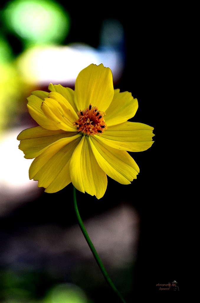 DSC_0697.jpg