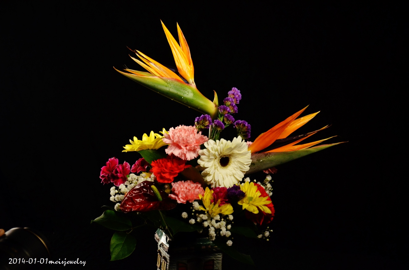 DSC_2282 (1300x861).jpg