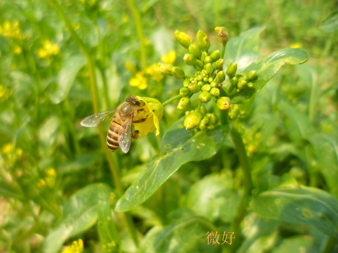 2_46606_8ee412589b8bbd5.jpg