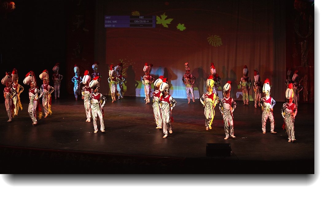 IMG_1216a.jpg