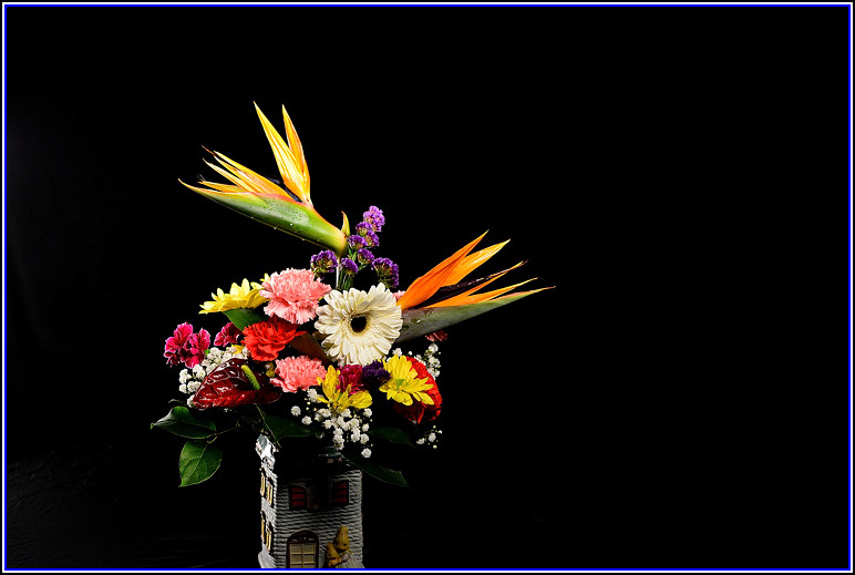 DSC_2207.jpg