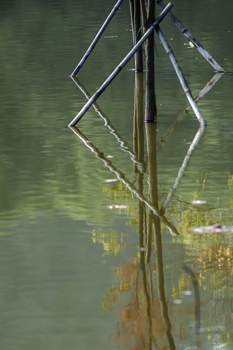 DSC_7732.jpg