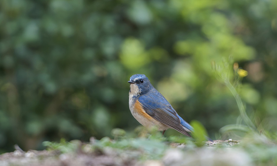 DSC_8656.jpg