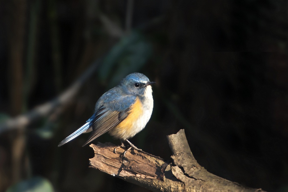DSC_8249.jpg