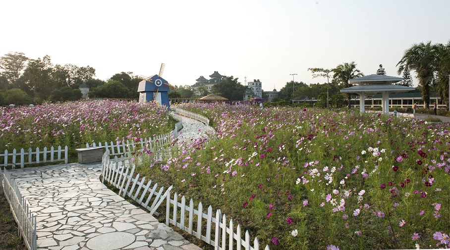 DSC_3772.jpg