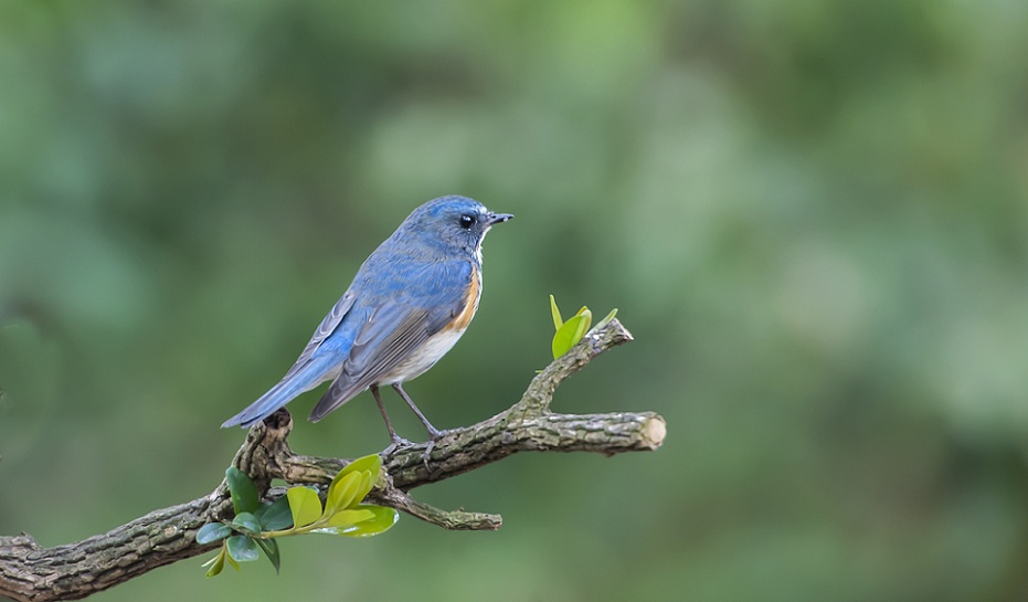 DSC_9486.jpg