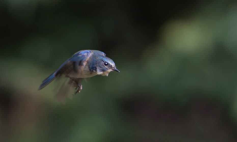DSC_0479.jpg