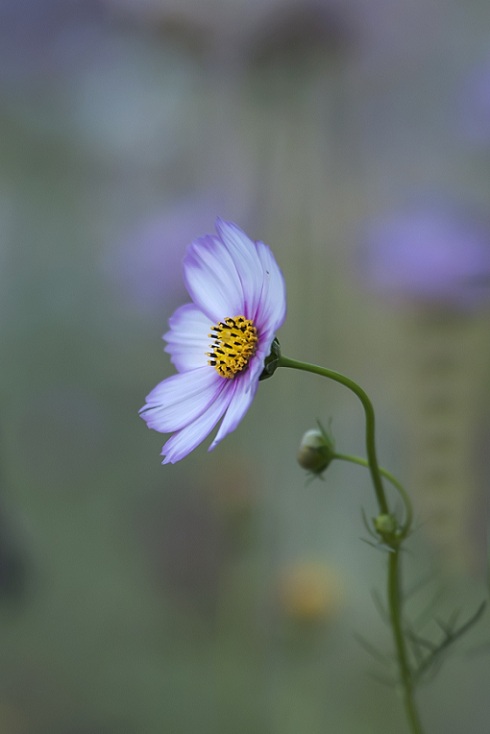 DSC_3672.jpg