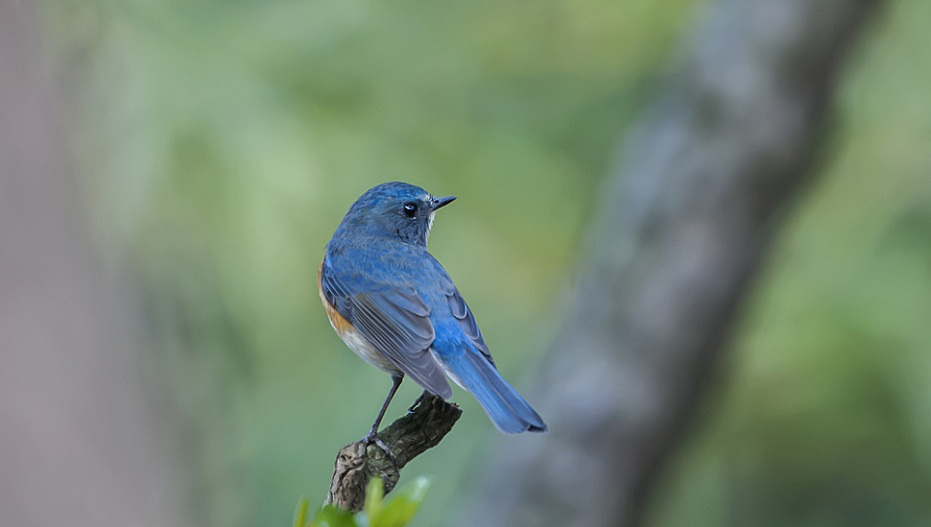DSC_9876.jpg