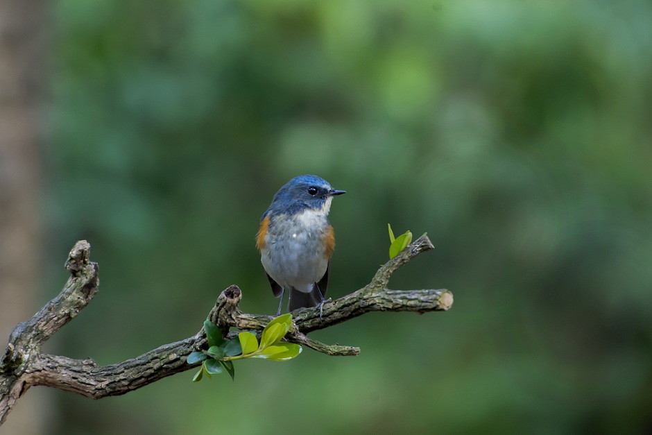 DSC_9423(1).jpg