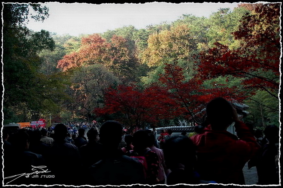 DSC_4053.jpg