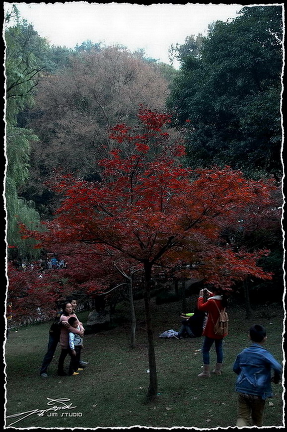 DSC_4068.jpg