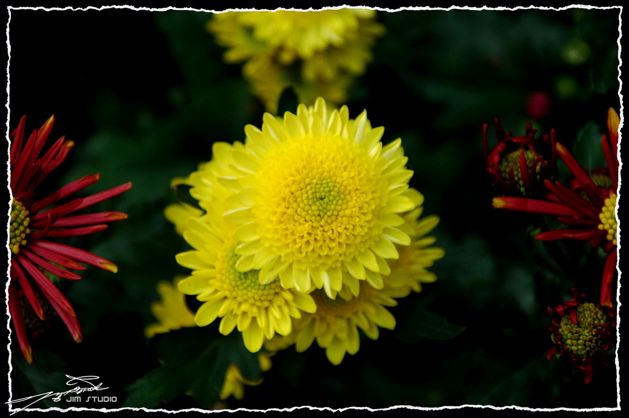 DSC_4189.jpg