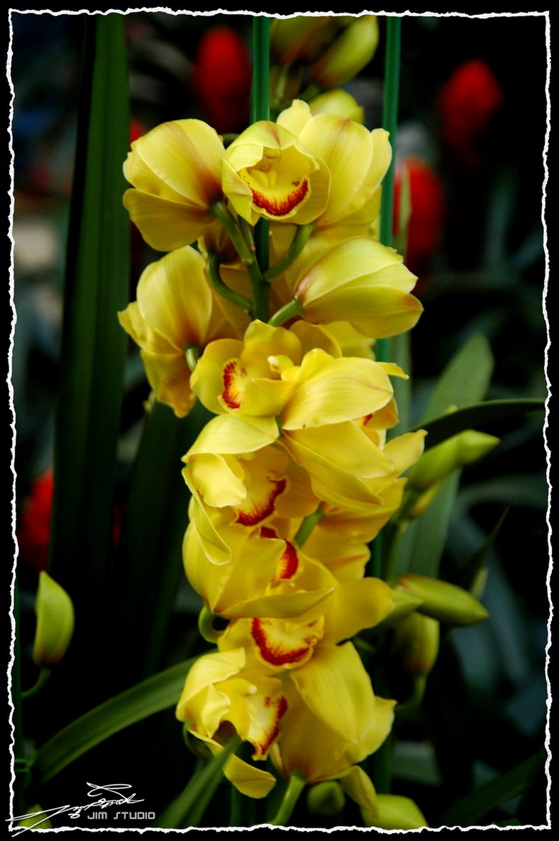 DSC_4166.jpg
