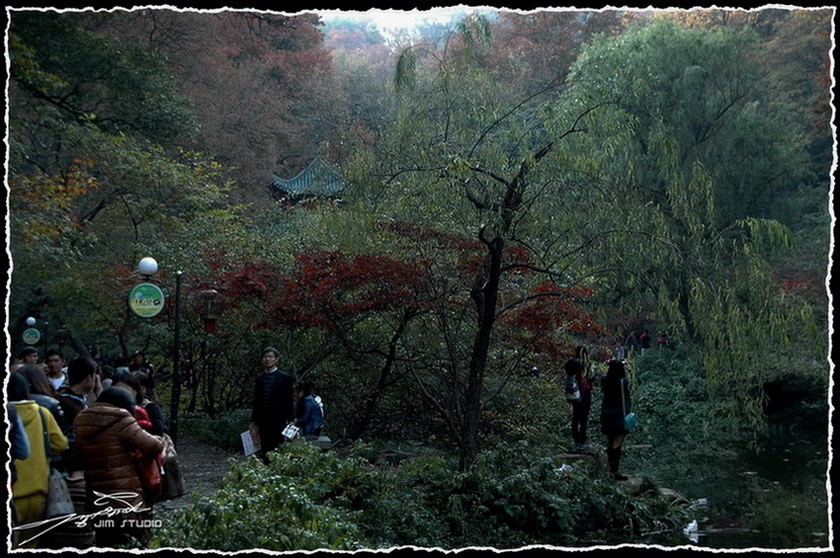 DSC_4057.jpg