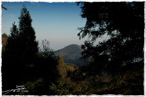 DSC_3953.jpg