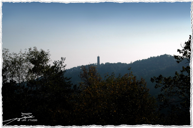 DSC_3861.jpg