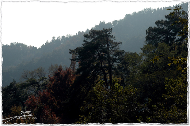 DSC_3863.jpg