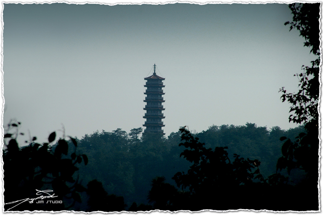 DSC_3854.jpg