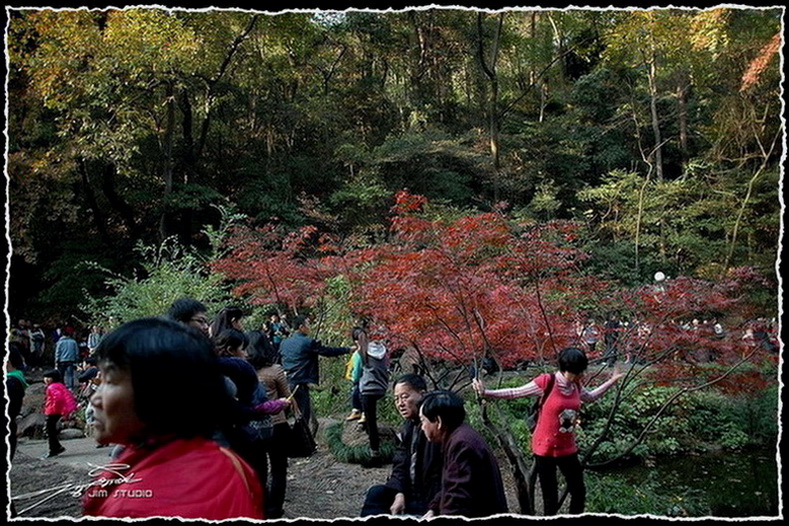 DSC_4055.jpg