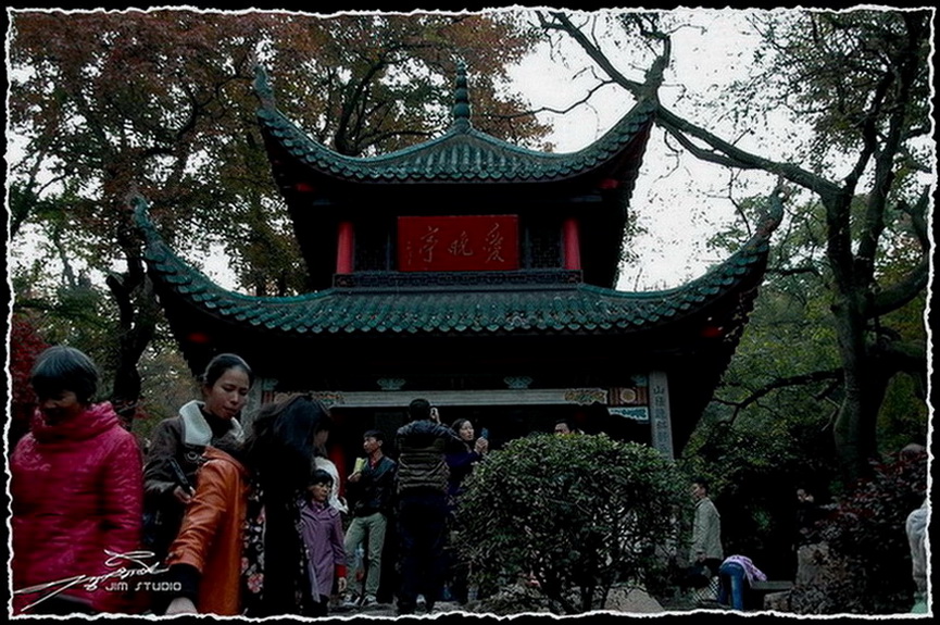 DSC_4061.jpg