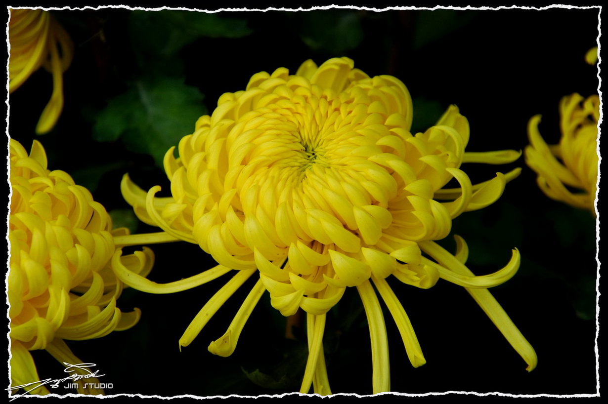 DSC_4186.jpg