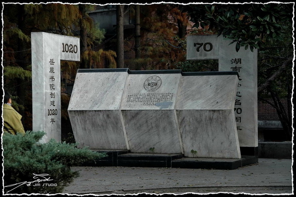 DSC_2004.jpg