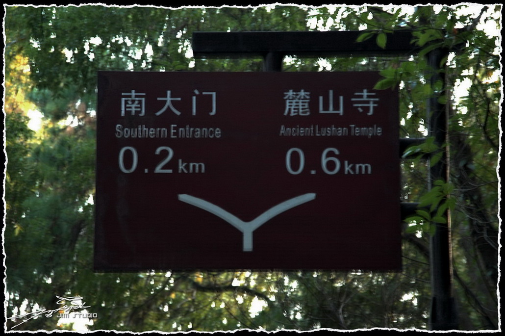 DSC_2006.jpg