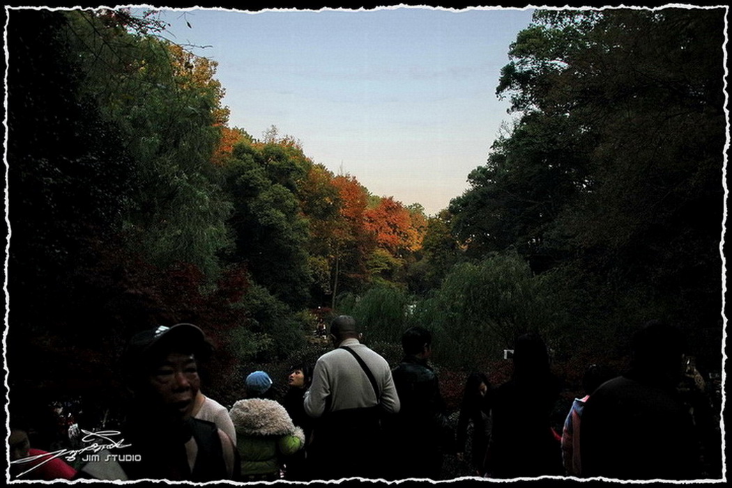 DSC_4063.jpg