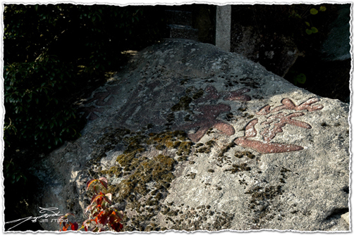 DSC_3896.jpg