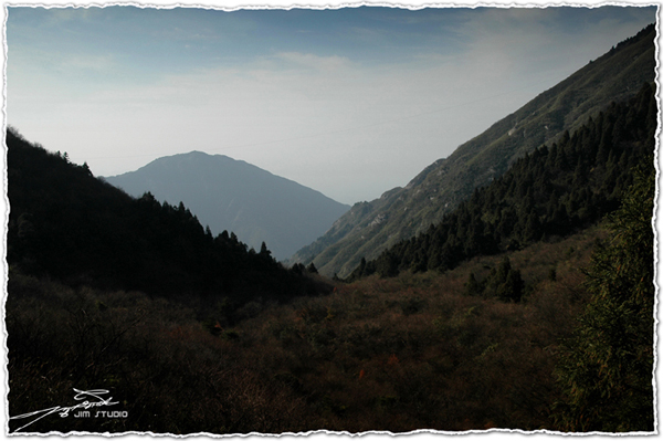 DSC_3874.jpg