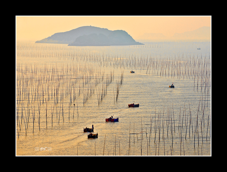 DSC_1541C1.jpg