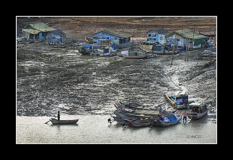 DSC_2531C1.jpg