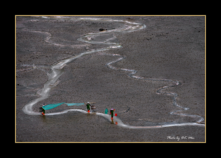 DSC_0096C1.jpg
