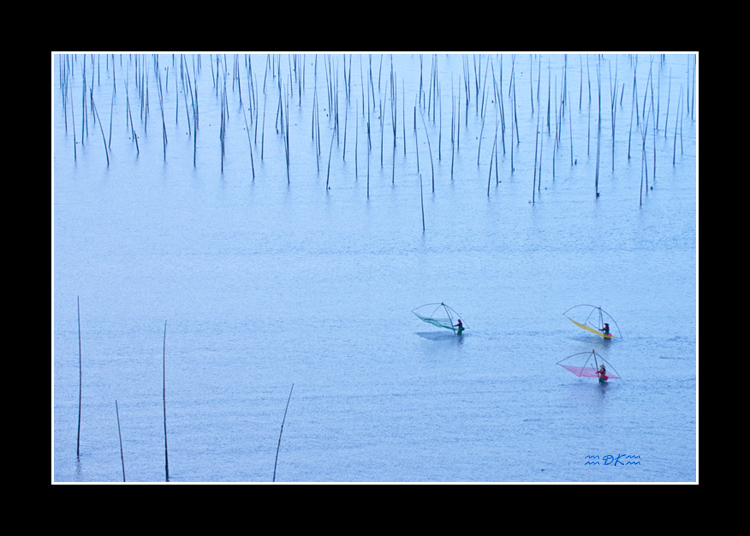 DSC_1278C1.jpg