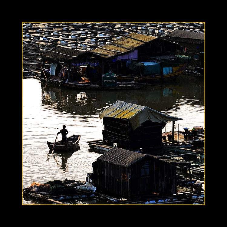 DSC_2521C1.jpg