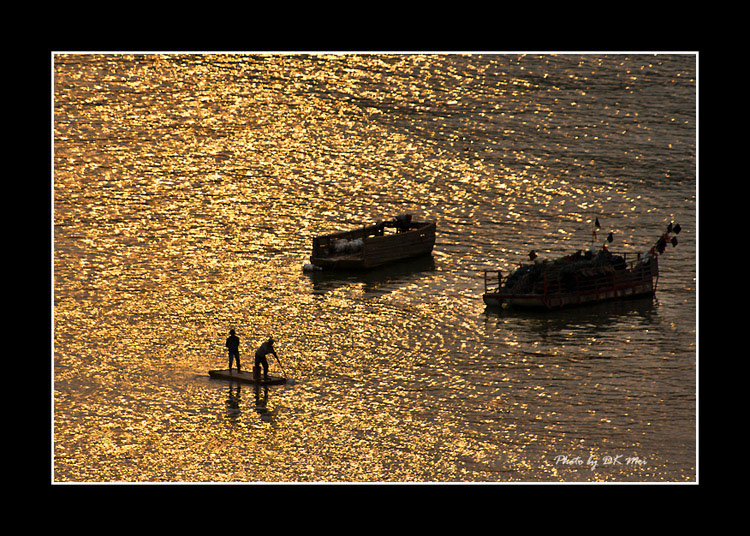 DSC_1153C1.jpg
