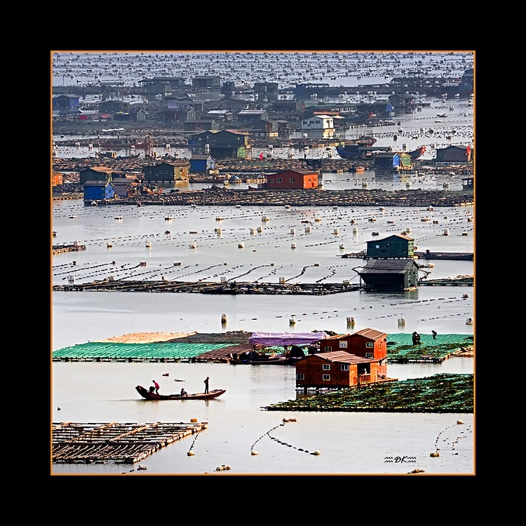 DSC_1900C1.jpg