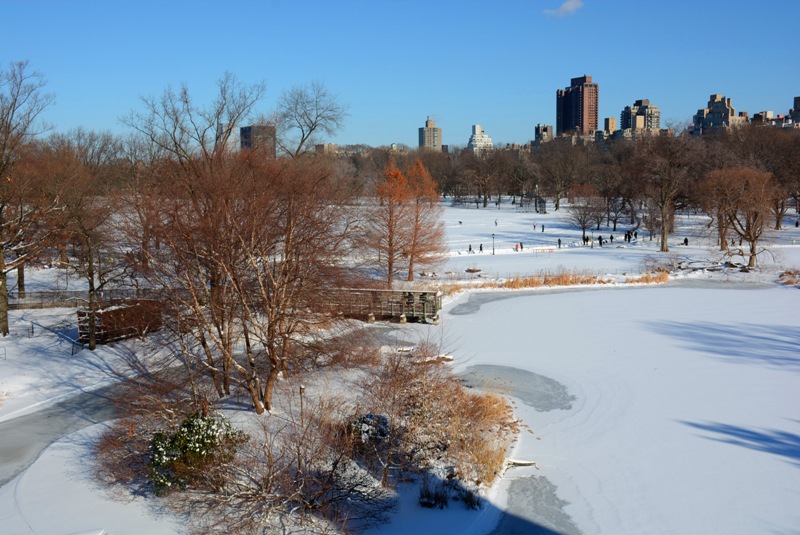 2_46831_5f8355f8c6da682.jpg