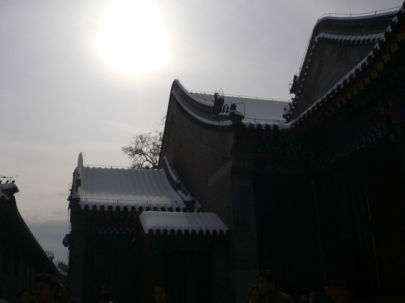 P1170836_.jpg