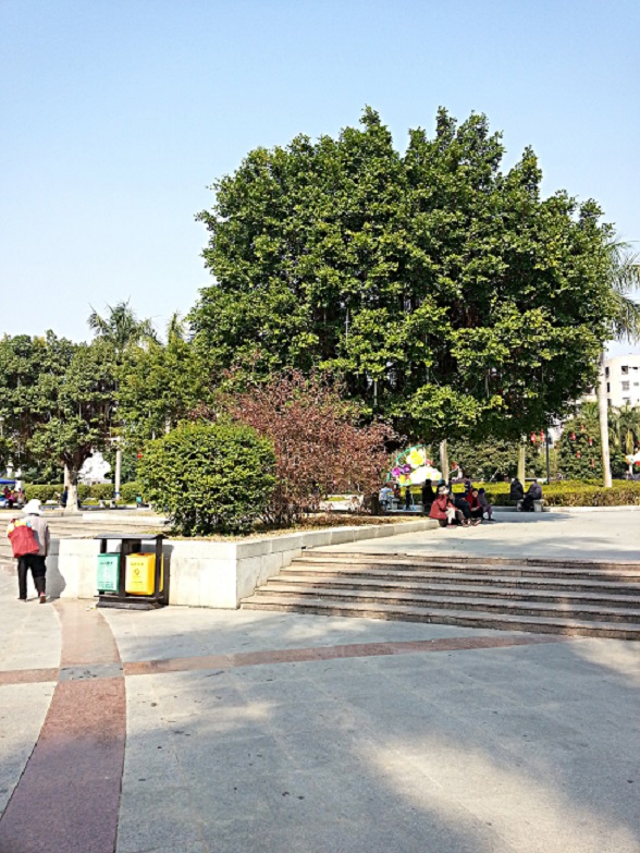 20140123_145233.jpg