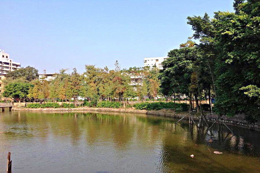 IMG_1570.JPG
